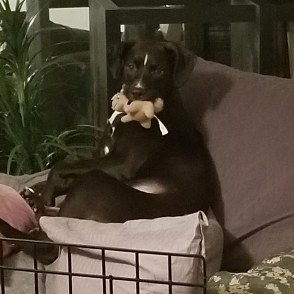 Meet Your Posher! - Picture 6 of 8